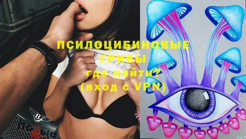 Галлюциногенные грибы MAGIC MUSHROOMS  купить наркоту  гидра tor  Пудож 